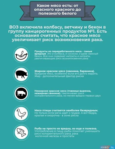 Врач Бобровский: В мясе молодых барашков "хороших" жиров больше, чем "плохих"