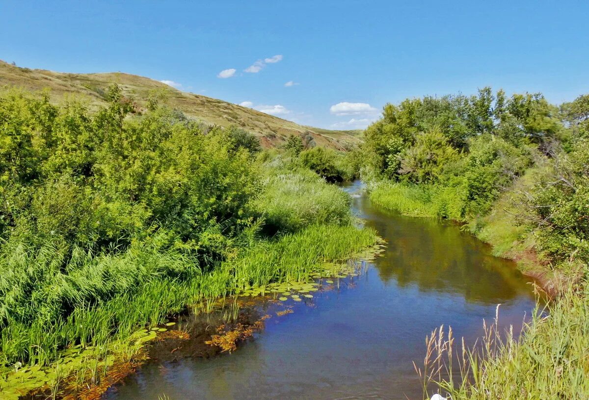 Кокшага река йошкар-ола. Река вонча. Маленькая речка. Крупные и малые реки. Большая кокшага (река).