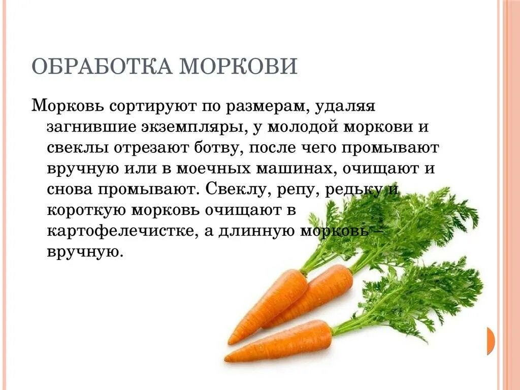 Схема обработки моркови. Механическая обработка моркови схема. Первичная обработка моркови. Обработка корнеплодов морковь. Можно морковь кормящим