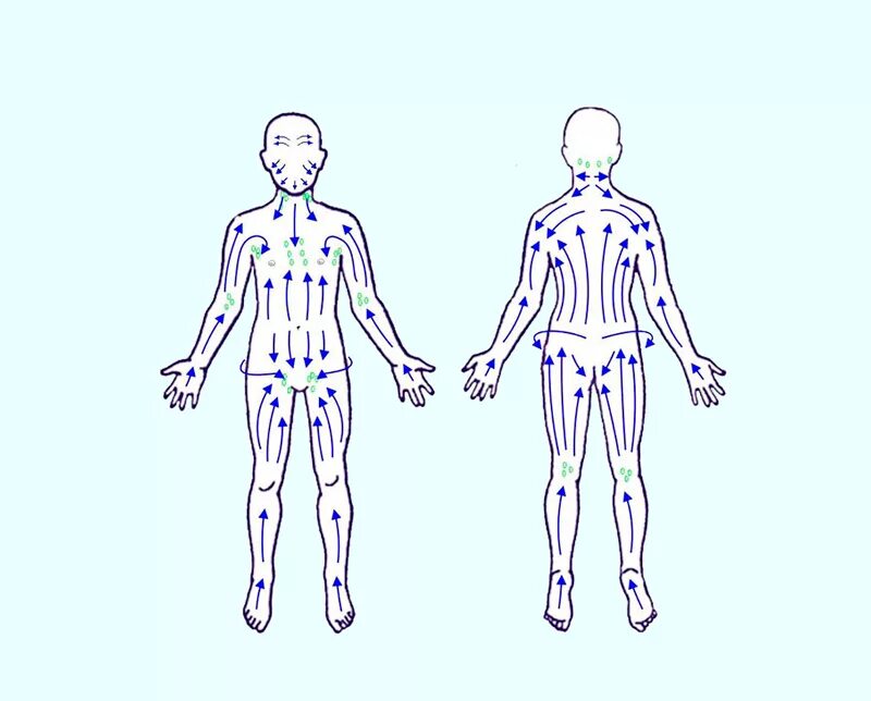 Лимфоотток в организме. Лимфатическая система человека схема движения лимфы. Схема направления движения лимфы лимфатической системы человека. Лимфатическая система человека схема движения лимфы массаж. Лимфатическая система человека схема для массажа.
