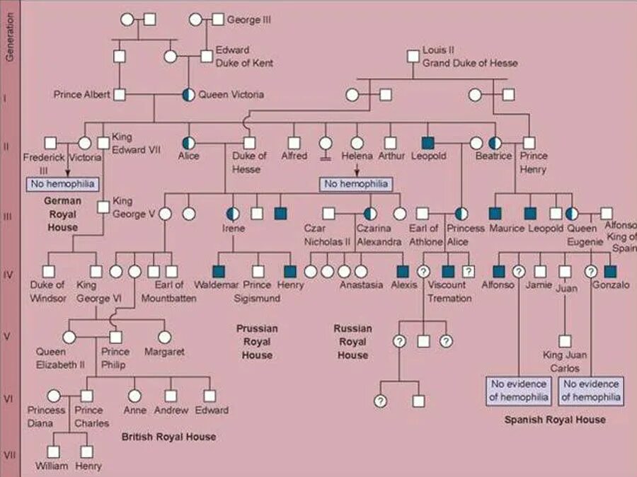 Родословная Виктории королевы Англии. Родословная дерево королевы Виктории. Генеалогическое Древо королевы Виктории гемофилия. Гемофилия романов