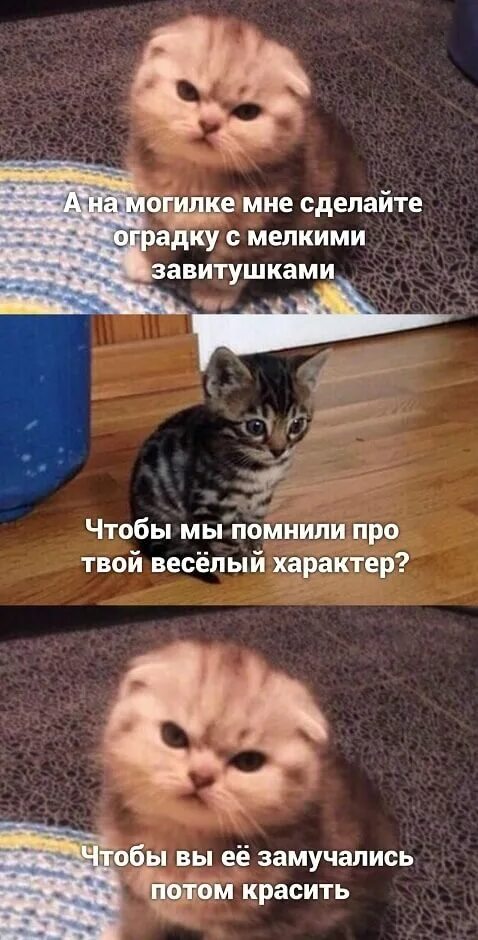 Я забыл про твоих бывших. Твоя улыбка цитаты. Забыла про твой день рождения открытка. Я забыл про твоих бывших. Забыла про день рождения открытка.