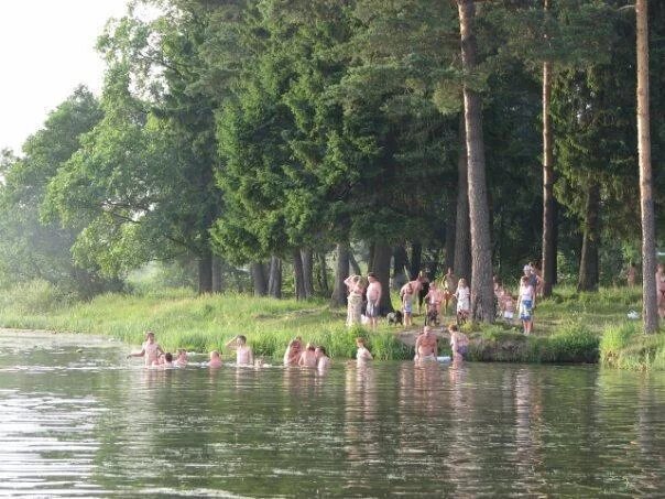 Погода в щедрино одинцовский. Снт пруды домодедово электричество. Щедрино (московская область). Погода в щедрино одинцовский. Пруд щедрино.