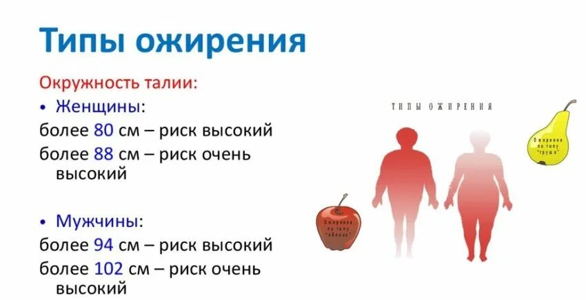 Типы ожирения. Типы ожирения у женщин. Мужской Тип ожирения. Ожирение второй степени.