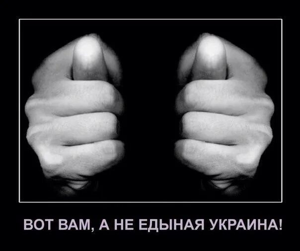 Фига. Фига гифка. Плакат с фигой. Фига. Фига рисунок.