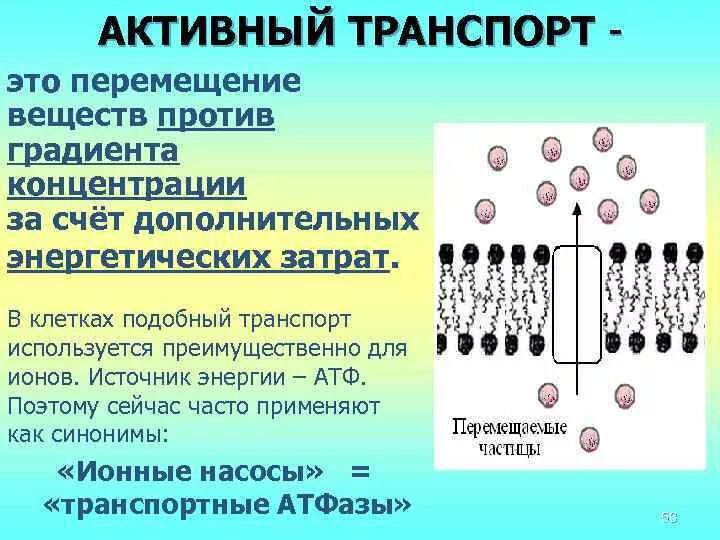 Активный транспорт против градиента концентрации. Активный транспорт. Транспорт веществ против градиента концентрации. Пассивный транспорт по градиенту концентрации.