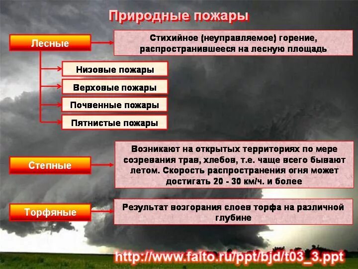 Стихийные бедствия обж 5 класс. Виды природных пожаров. Природные пожары ЧС. Классификация лесных пожаров. Типы пожаров в лесу.