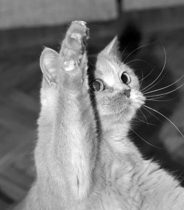 Что значит найда. Простить значит принять. Что значит найда. Что значит найда. Что значит найда.