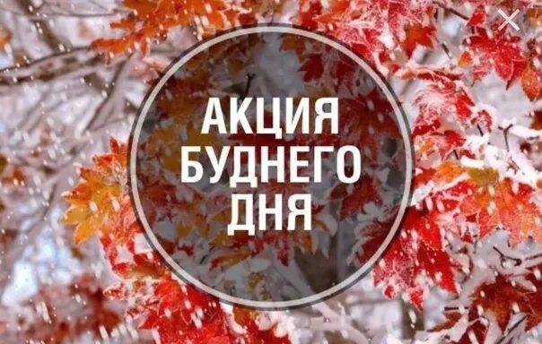 Акция буднего дня