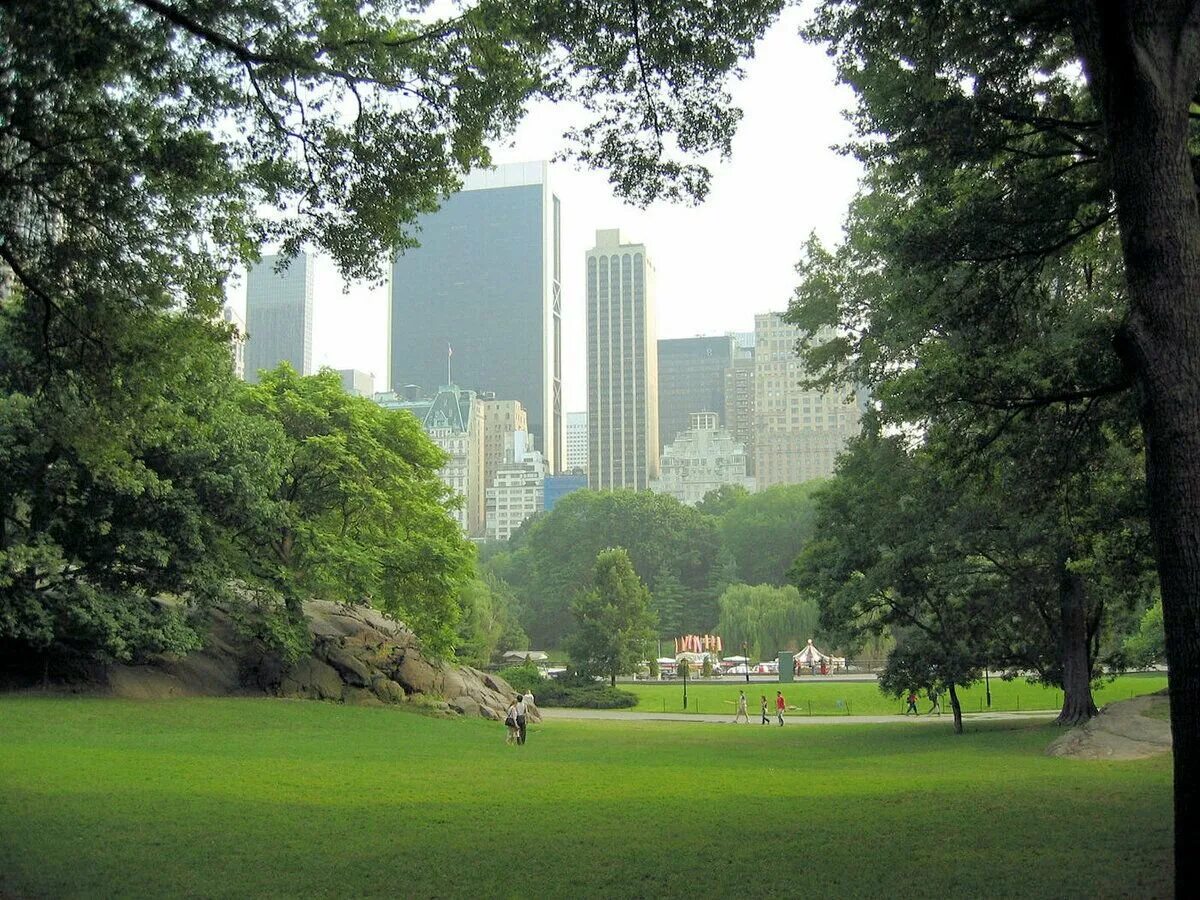 Парки в америке в городе. Центральный парк Нью-Йорк. Америка Центральный парк Нью-Йорк. Грин парк Нью Йорк. Централ парк США.