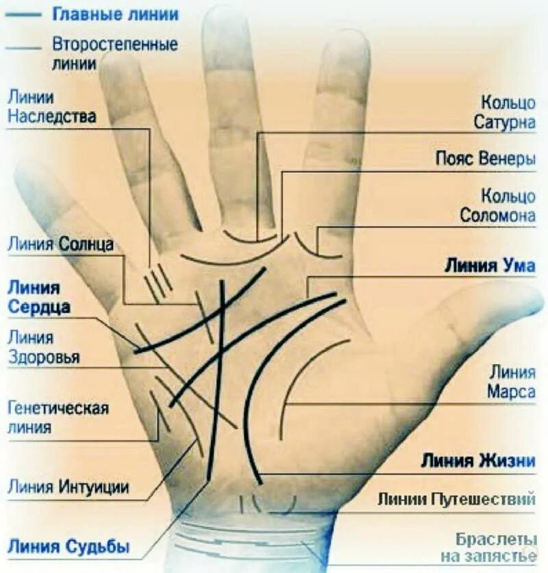 Как узнать сколько было жизней. Хиромантия с разъяснениями по руке линии. Кольцо Соломона хиромантия. Основные линии на ладони в хиромантии. Ладонь с линиями по хиромантии.