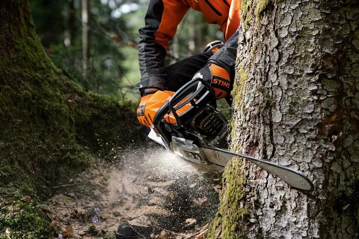 Картинки штиля. Stihl ms400. Штиль МС 400. Stihl / Chainsaw Stihl. Stihl бензопила MS 661 C-M.