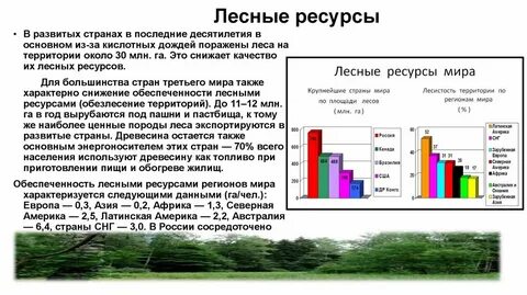 Какая страна обладает большими земельными ресурсами