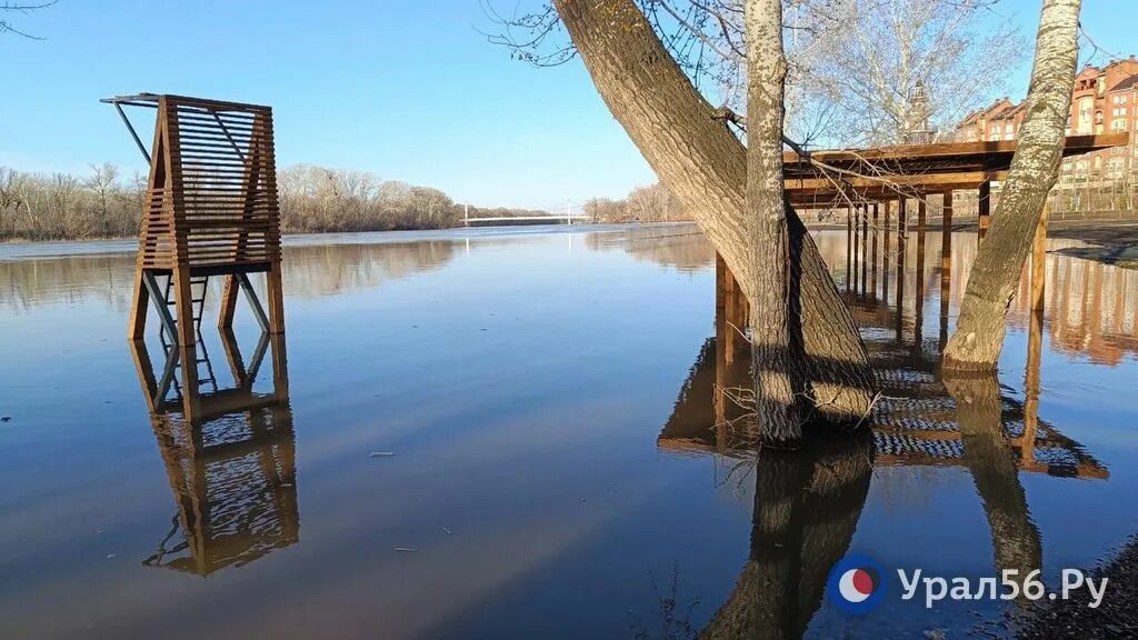 Река урал в оренбурге уровень воды сегодня. Набережная Урала Оренбург 2023. Половодье на реке Урал. Паводок. Река Урал Орск.