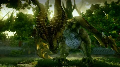 Страж предела dragon