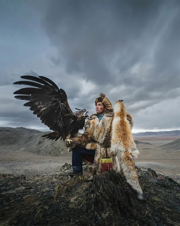 Hunt eagle. Hunt eagle. Орел несет добычу. Hunt eagle. Казах с беркутом.