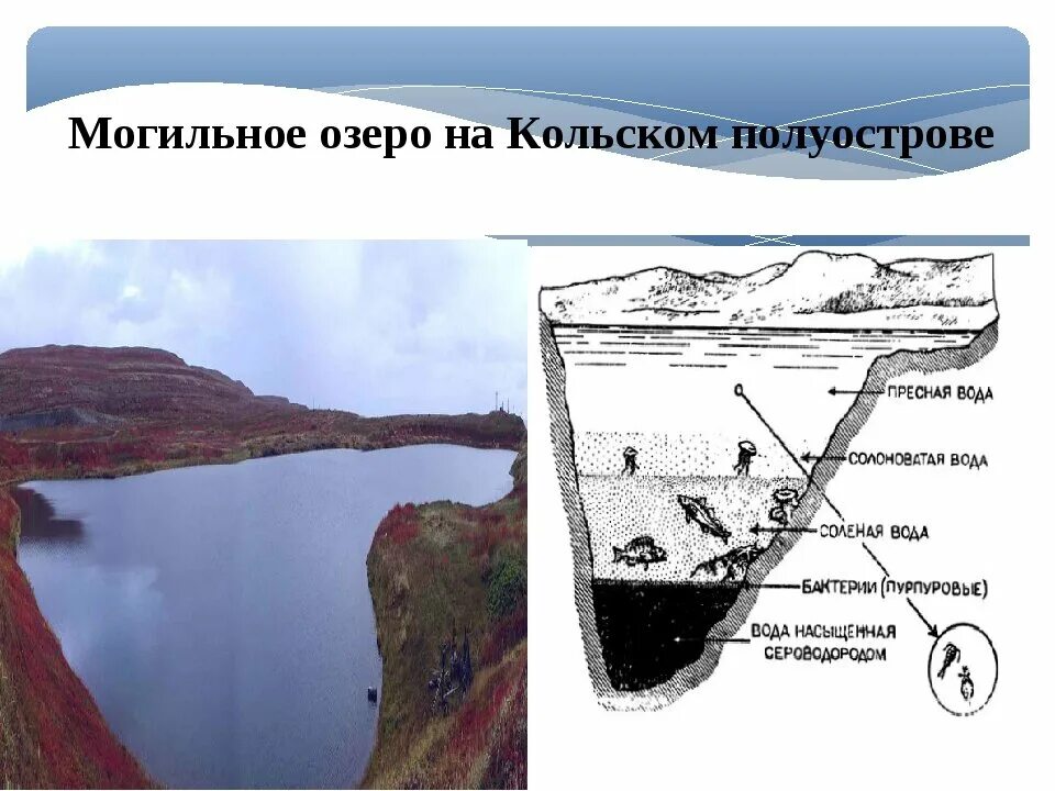 Водные богатства мурманской области. Озеро Могильное на Кильдине. Озеро Могильное на острове Кильдин. Реликтовое озеро Могильное. Озеро Могильное Мурманская область.