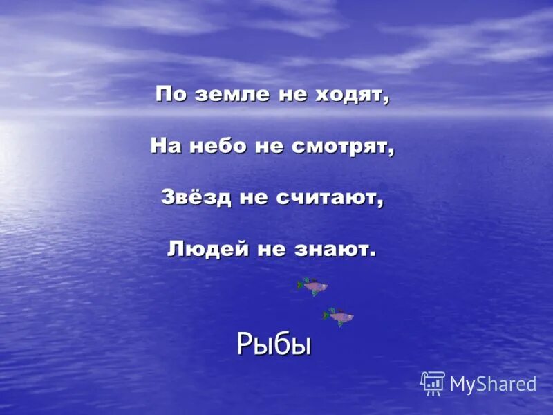 По земле не хожу на небо. По земле не хожу на небо