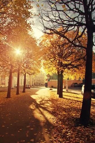 Включи света осень. Осень город солнце. Солнечная осень в городе. Осеннее солнце в городе. Солнечное утро в городе.