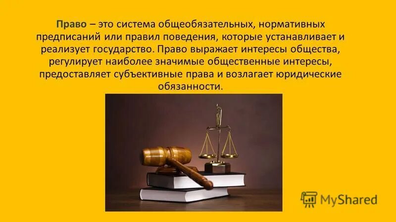 Публичное право. Назначение права в обществе. Частный интерес в праве. Источники российского права. Право выражает интересы.