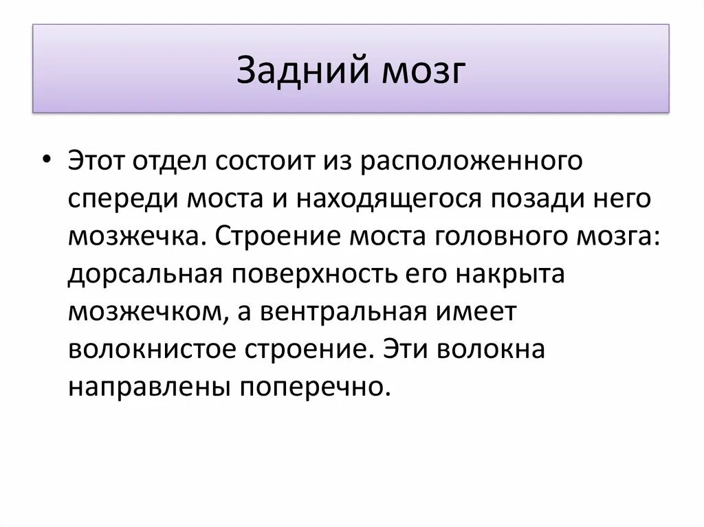 Функции заднего отдела мозга. Функции заднего мозга кратко. Задний мозг строение и функции. Строение и функции заднего мозга мозга. Задний мозг структура кратко.