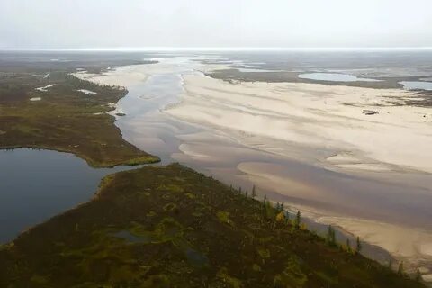 Устье реки губа