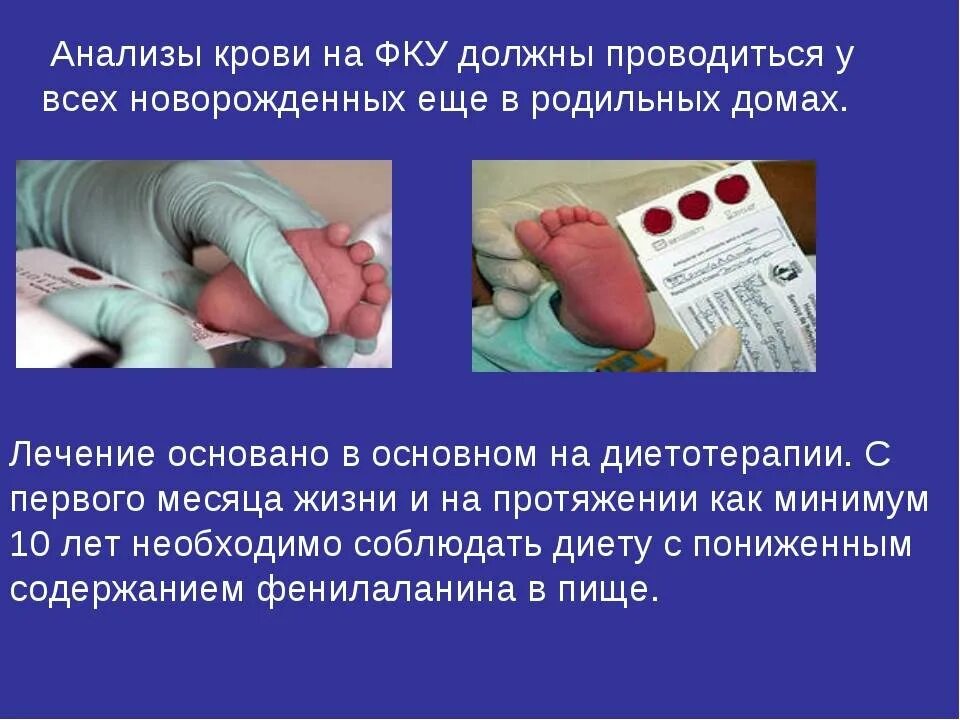 Откуда берет кровь на группу крови. Анализ ФКУ У новорожденных. Скрининг фенилкетонурии у новорожденных.
