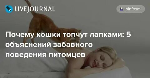 Почему коты топчут одеяло