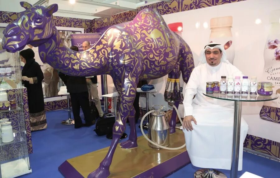 верблюжье молочко для лица. верблюжье молоко дубай. верблюжье молоко дубай. верблюжье молоко дубай. верблюжье молоко оаэ.