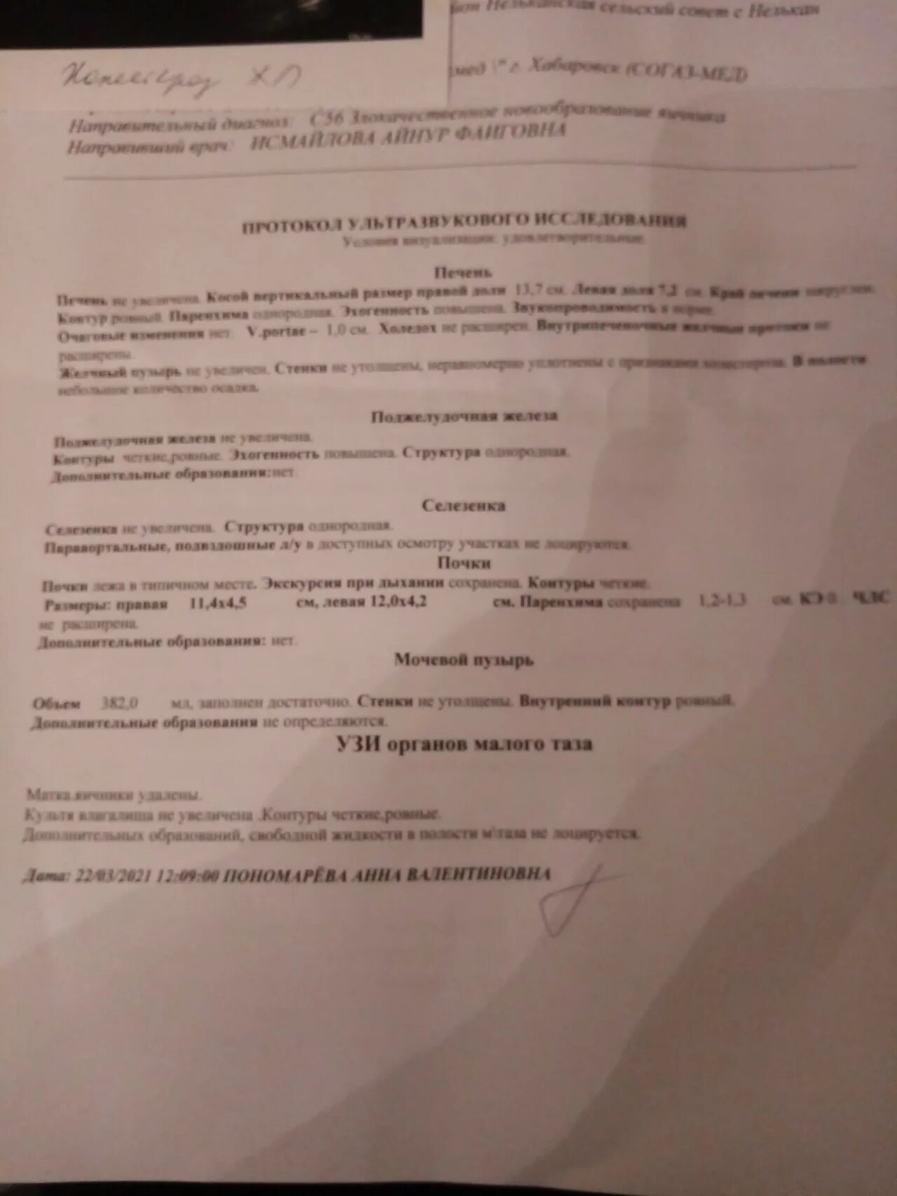 Холестероз желчного пузыря на УЗИ протокол. Холестероз желчного пузыря на УЗИ. Холестероз желчного пузыря на УЗИ описание. Холестероз стенки желчного пузыря на УЗИ.