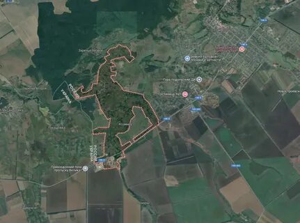 Сколько грайворон от границы