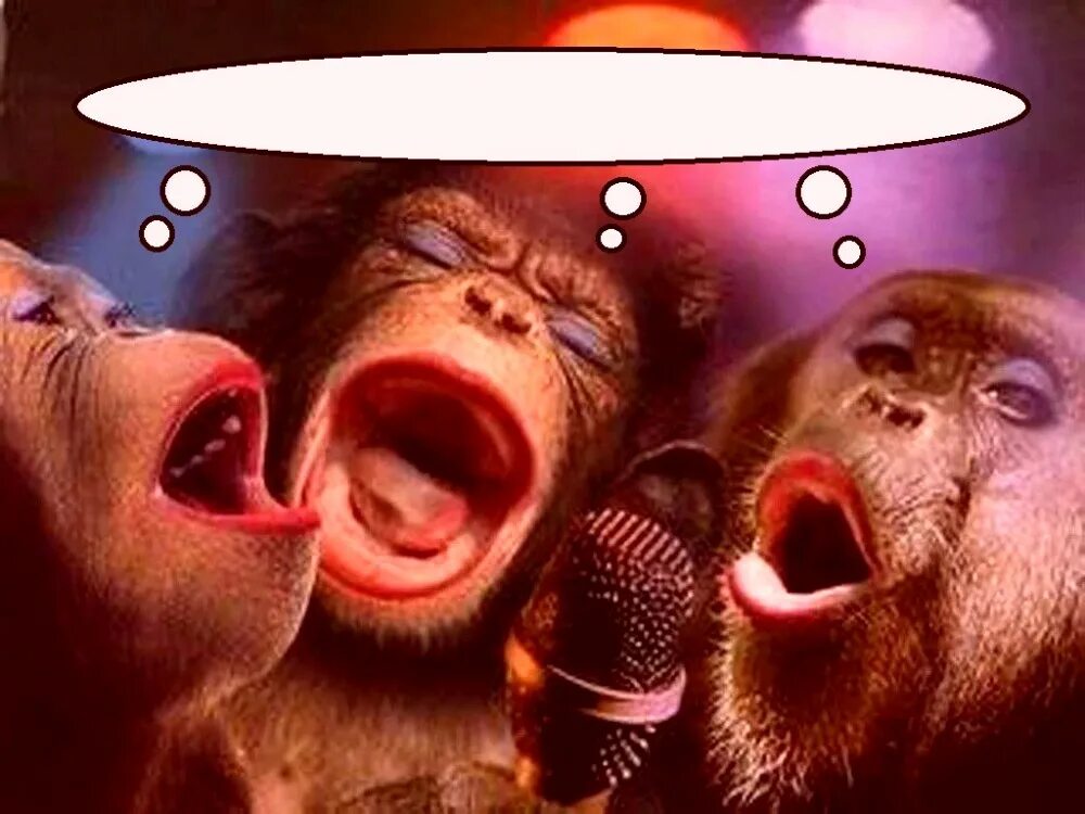 Весело поешь. Три обезьяны поют. Обезьяна поет. Поющие обезьянки. Мартышка поет.