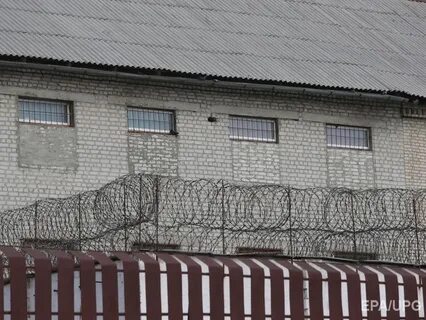 Сизо линево новосибирская область