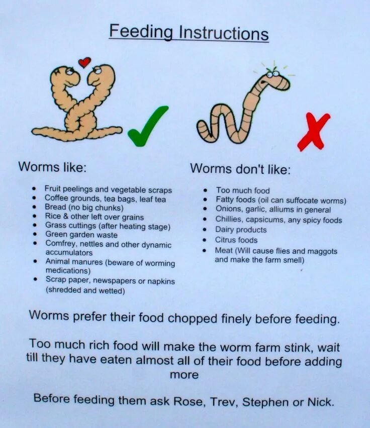 Feed on them