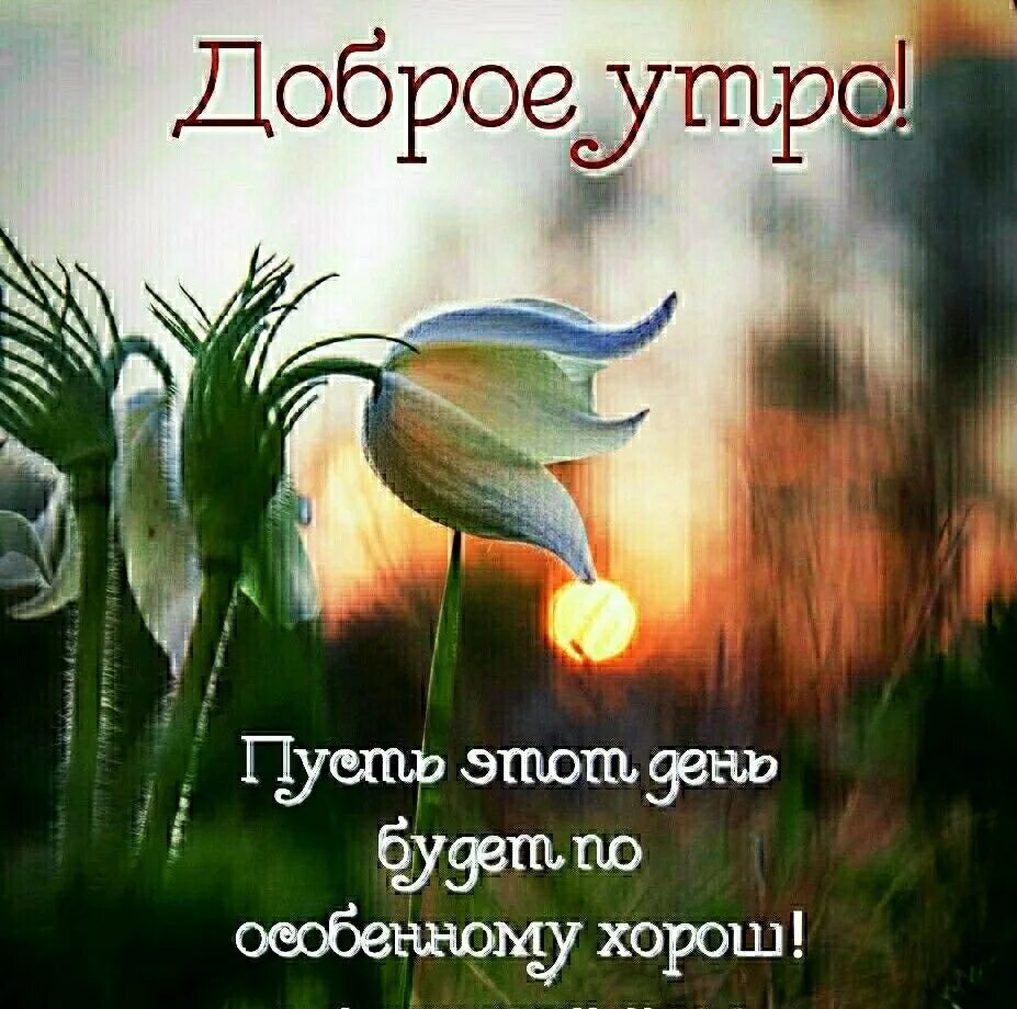 Доброе утро со смыслом. Открытки с добрым утром со смыслом о жизни. Всем родным и близким доброе утро. Добрым людям доброе утро.