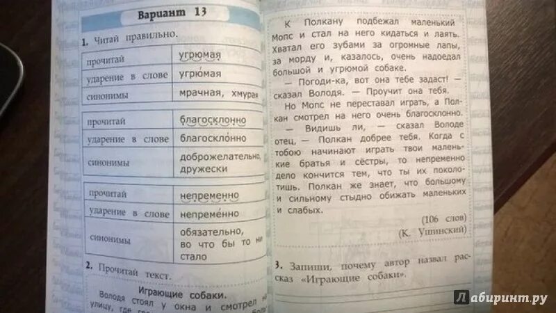 Чтение экзамен 3 класс крылова. Чтение работа с текстом. Работа с текстом 2 класс. Чтение работа с текстом второй класс. Текст с заданиями 2 класс.