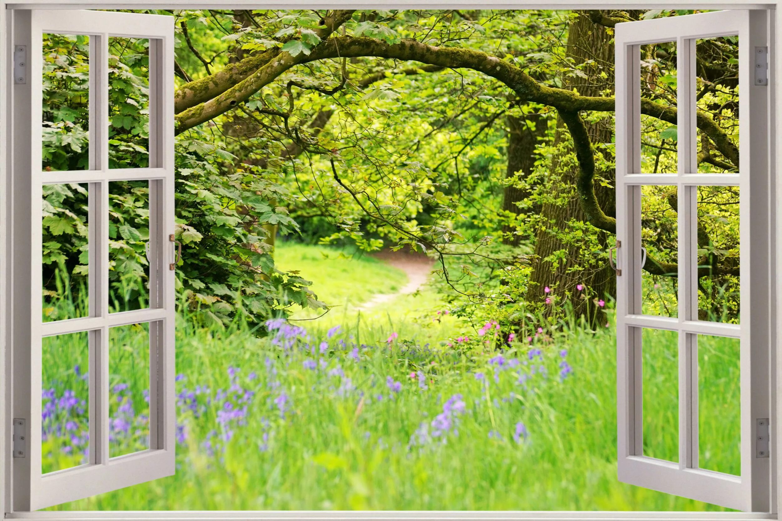 Tree window