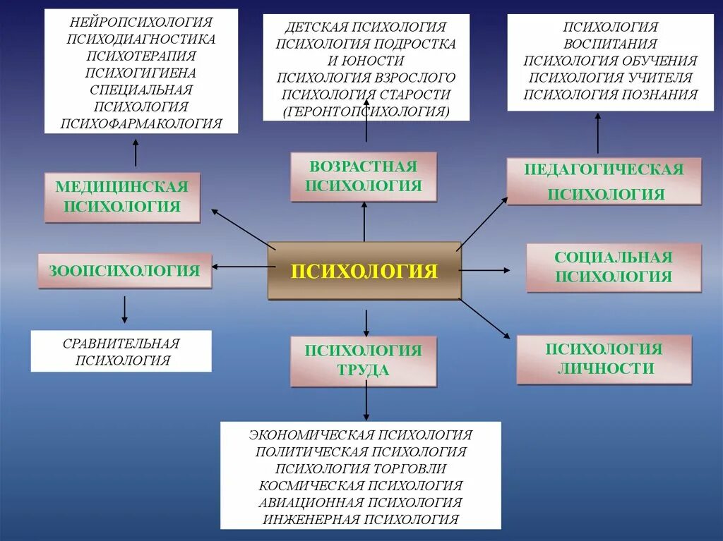 Психология образования ответы. Связь нейропсихологии с другими науками. Нейропсихология это в психологии. Взаимосвязь нейропсихологии с другими науками. Связь специальной психологии с нейропсихологией.