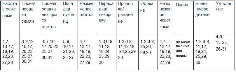 Пересадка комнатных растений в апреле 2024 благоприятные