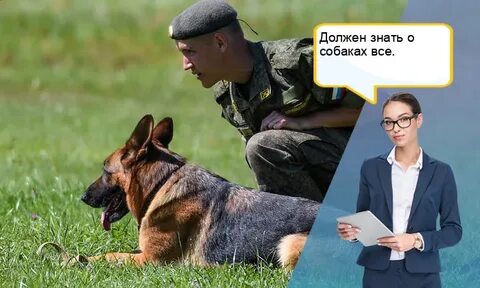Эксперт рядом