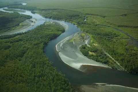 Меандр реки