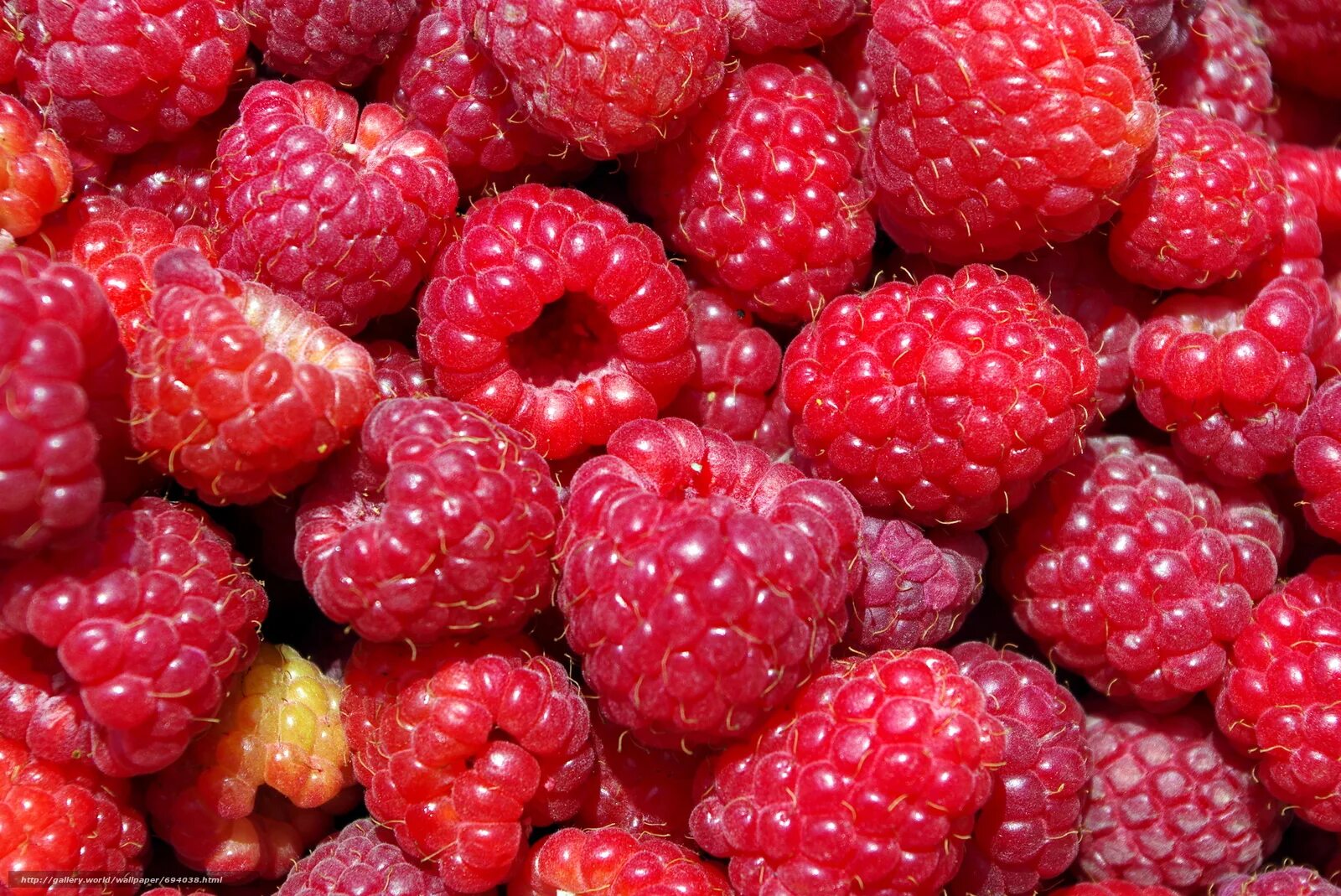 клубника. ягода язык. ягода язык. малина черноплодная кумберленд. ягода язык.