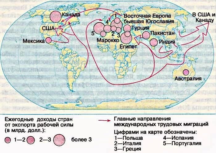 Районы трудовой миграции в мире. Миграция мирового населения