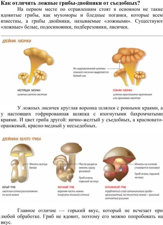 Как отличить пищевую. Ложные грибы двойники съедобных грибов. Как отличить ядовитых грибов от съедобных. Как отличить съедобные грибы от несъедобных грибов. Признаки отличия съедобных грибов от ядовитых.