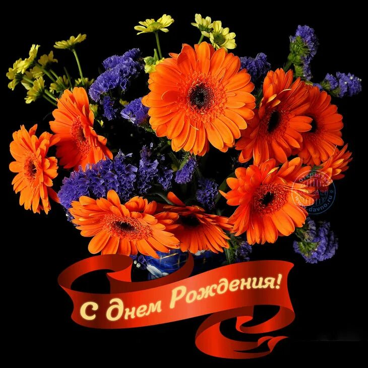 Стихи гербер. Герберы букет. красивые букеты на чёрном фоне. цветы на черном фоне. открытки с цветами красивые.