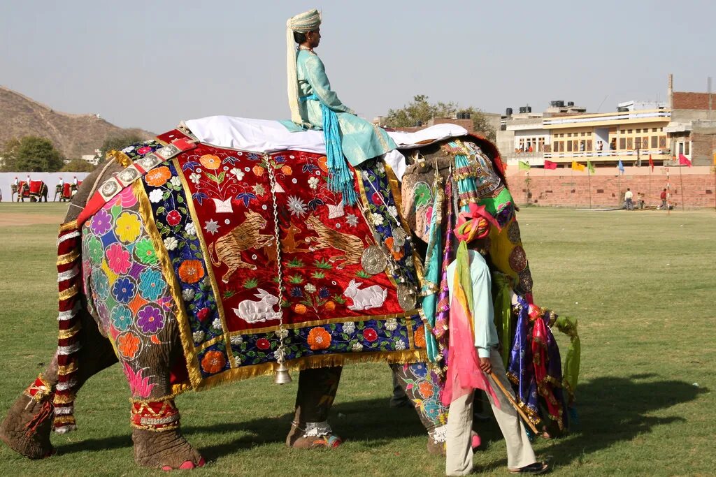 Фестиваль слонов — Джайпур, Индия. Фестиваль слонов в Индии. Индийский слон в Индии. Фестиваль слона Индия.
