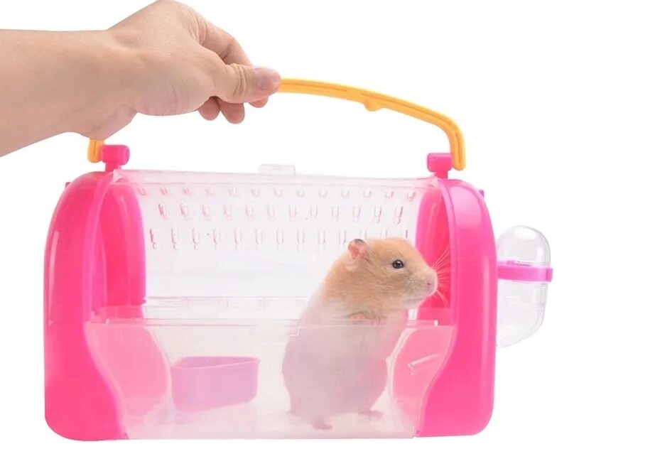 аксессуары для хомячков. принадлежности для хомяка джунгарика. хомяк woody o"time. продаются хомяки. хомяк интернет магазин.