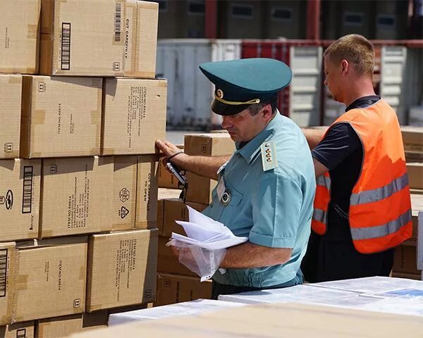 Customs cargo. Досмотр груза. Фитосанитарный контроль на таможне. Таможенная обработка грузов. Таможня осмотр груза.