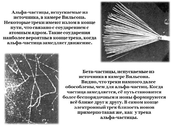 Как определить направление частиц. Трек бета частицы в камере Вильсона. Треки частиц в камере Вильсона. Альфа частицы в камере Вильсона. Треки Альфа частиц в камере Вильсона.