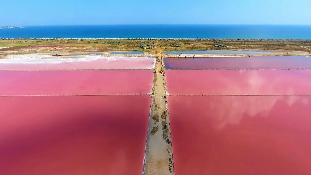 Есть розовое озеро. Dunaliella Salina озеро. Сасык-Сиваш. Розовое озеро Хиллер Австралия. Розовое озеро Сасык-Сиваш.